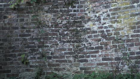 old grunge brick wall background zoom in