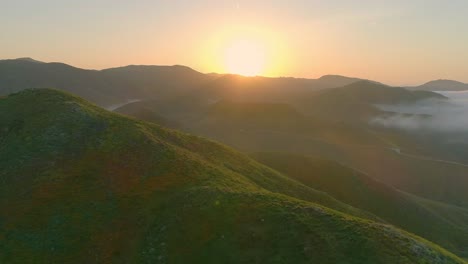Luftaufnahmen-Von-Kalifornischen-Mohnfeldern-Und-Bergen-Und-Frühem-Sonnenaufgang-Mit-Hereinrollendem-Nebel