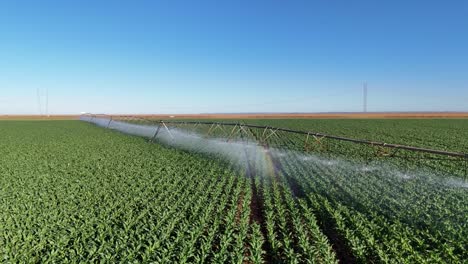 aerial view of center pivot irrigation system watering a lush green crop field