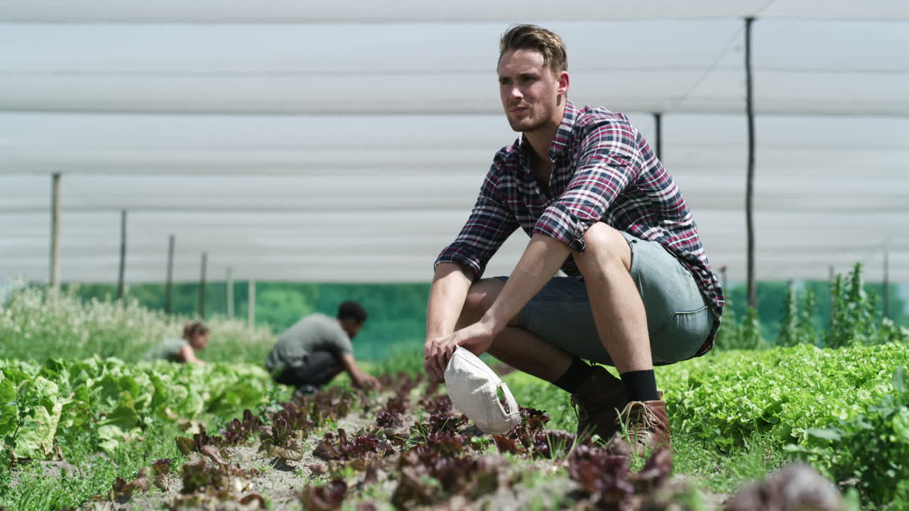 The sun feels more hotter when you're in the field