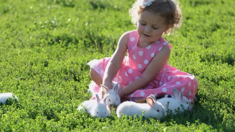 a little girl playing with white bunnies on green grass