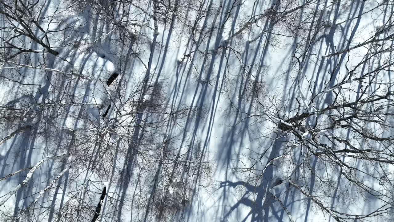 나가노 근처에 있는 일본의 눈이 쌓인 계곡의 공중 촬영. - 미오코 야마노치