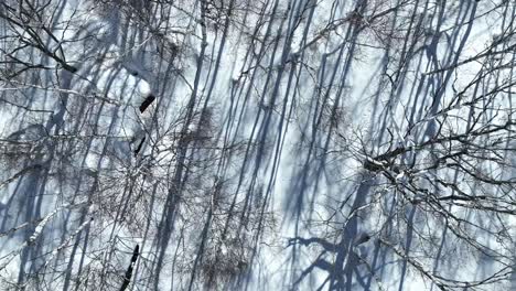 Aerial-establishing-shot-of-Japan-snowy-valley-near-the-Nagano-Myoko-Yamanochi-region