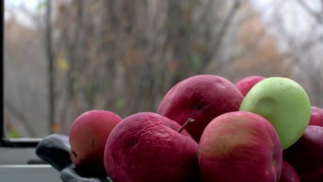 manzanas viejas en el cuenco y finales del otoño afuera