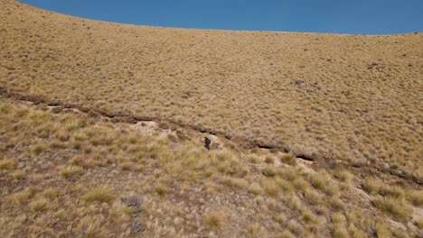 excursionista caminando cuesta arriba en el lado de la montaña de hierba