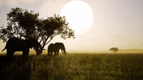 two elephants standing idle and eating under a tree in a savanna environment from afternoon to sunset 3d animation static camera