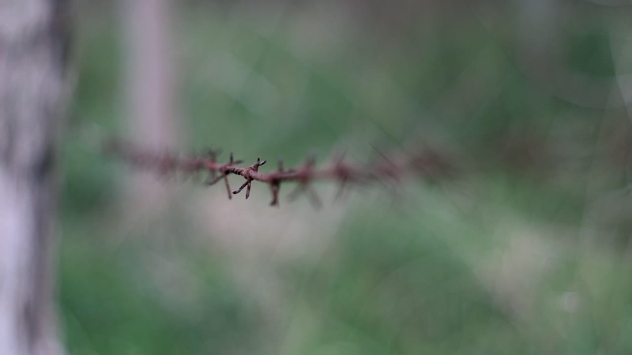Barbed wire fence makes you want to be free. Steel barbed wire fence blocking European immigration.