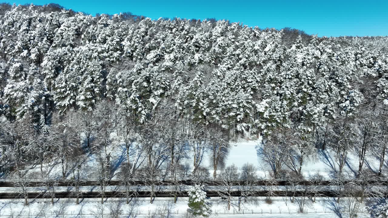 ポーランド、グダニスクの澄み切った青空の下、新雪に覆われた鬱蒼とした松林の美しいドローン空撮。冬の旅行や自然ドキュメンタリーに最適です。