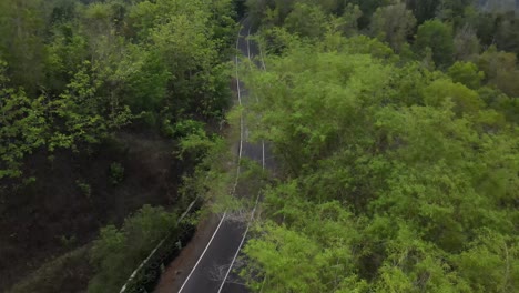 disparo aéreo, ciclistas subiendo una colina a través de un camino sinuoso con denso bosque