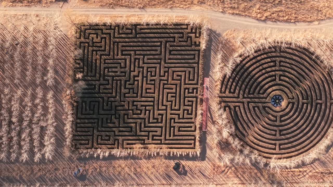 Square, round, and triangular hedge mazes in the Malargue countryside during a sunny autumn afternoon. High top-down aerial tracking, with stark trees