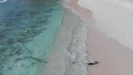 Aerial-view-of-the-white-beaches-and-turquoise-waters-at-Anse-Coco,-Petit-Anse-and-Grand-Anse-on-La-Digue,-an-island-of-the-Seychelles