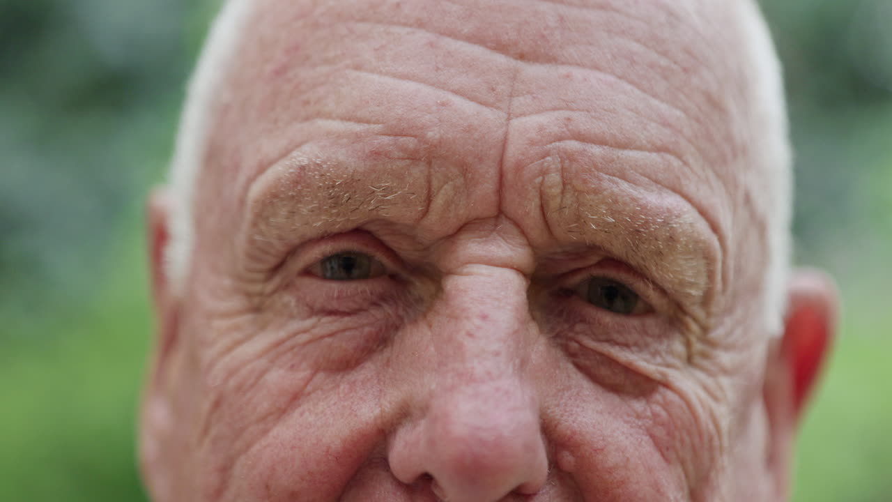 Close-up portrait of an elderly man's face
