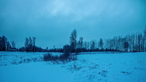 Low-angle-shot-of-white-snow-covered-forest-floor-with-white-cloud-movement-during-morning-time-in-timelapse