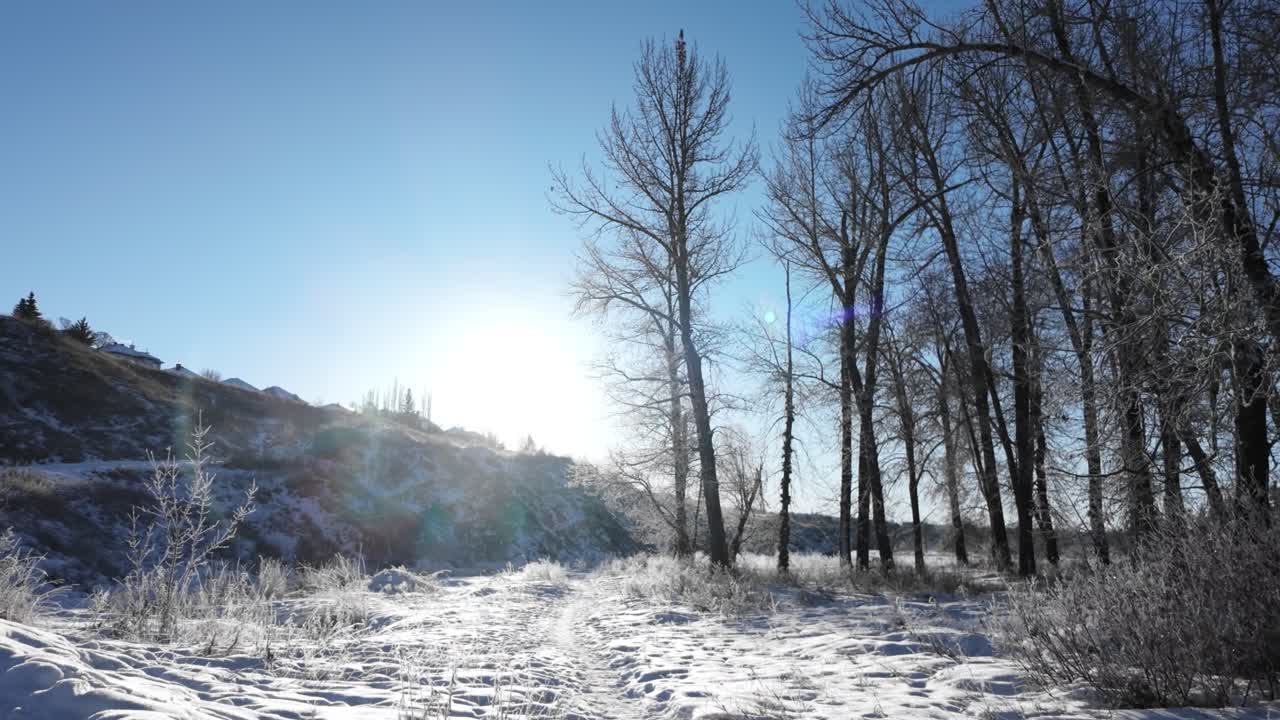 Vinterlandskab med rimfrostbeklædte træer langs floden, en solbeskinnet bakke og skarpt sæsonbestemt lys i et koldt naturmiljø.