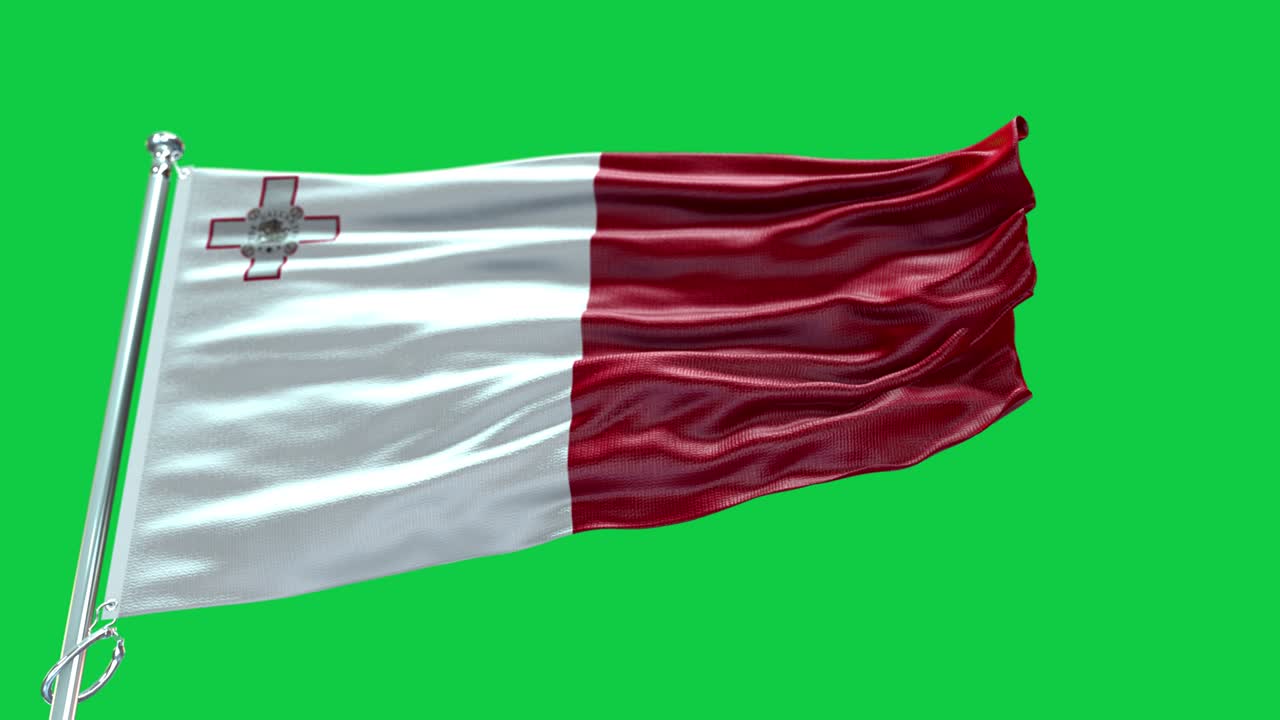 4k 매우 상세한 몰타의 발 - 몰타 발 높은 상세 - 국가 발 몰타 파동 패턴 loopable 요소