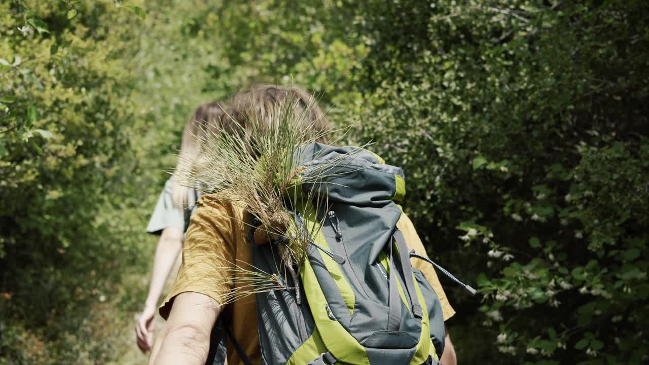 Couple backpackers walking by forest's thick trees path, rear view