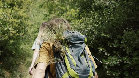 Couple-backpackers-walking-by-forest's-thick-trees-path,-rear-view