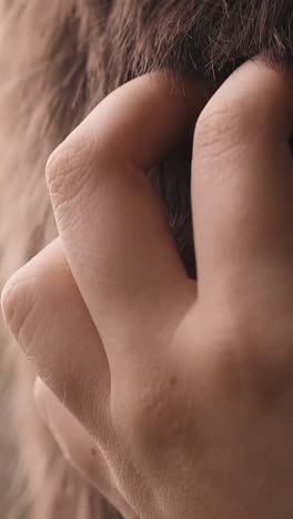loving woman cuddles brown hair of man on blurred background closeup slow motion. lovely young couple enjoys romantic date. passion relationship