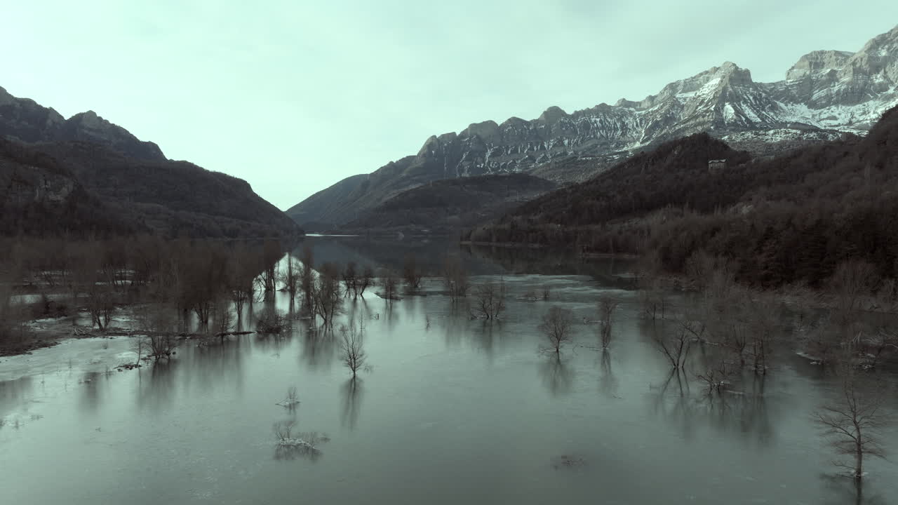 Frozen Lake with Flooded Trees and Mountains