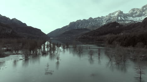 frozen lake with flooded trees and mountains