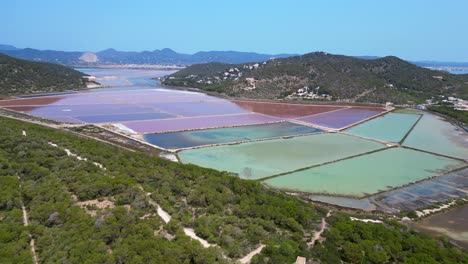 colorful salt flats of Ibiza with the Mediterranean vegetation in the foreground. Magic aerial view flight drone top down Above view
