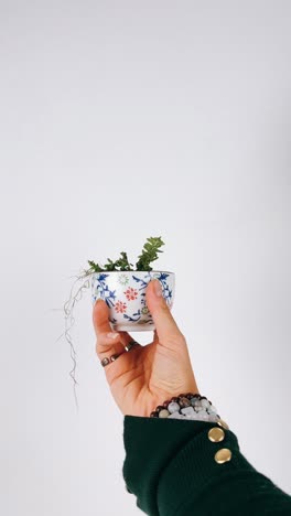 mano sosteniendo una pequeña olla decorativa con planta