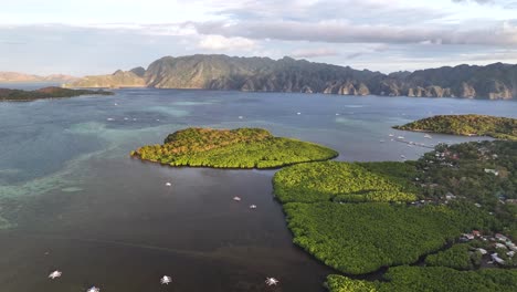 scenic view of dense mangrove forests in coron island, philippines. aerial drone shot