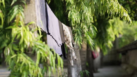 clothes hanging on a line between trees in a monastery in myanmar