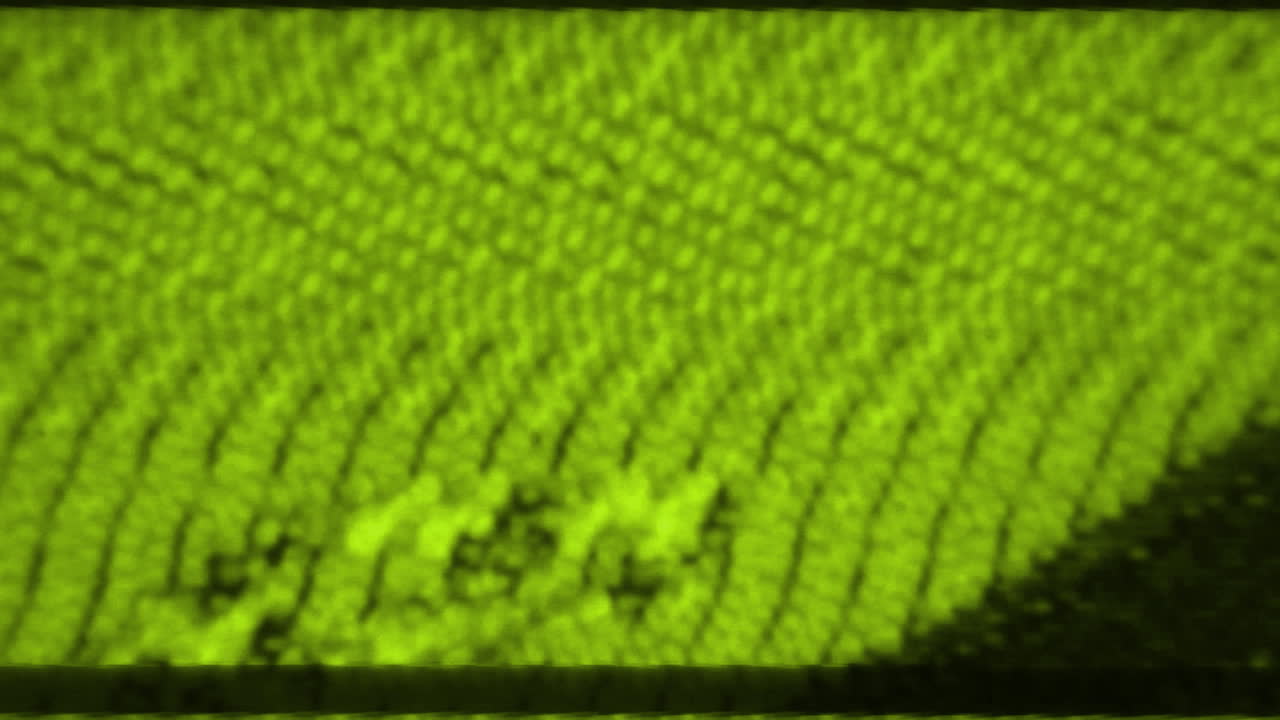 videograbadora fuzz 11