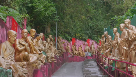 tracking out of buddha statues in rows