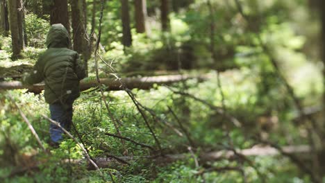 child alone in the woods