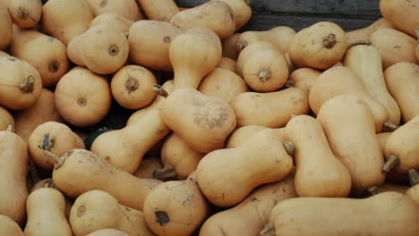 Muchas-Calabazas-En-Una-Caja-De-Madera-En-Una-Feria-Agrícola