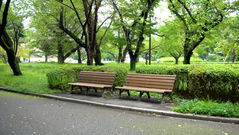 two empty park benches