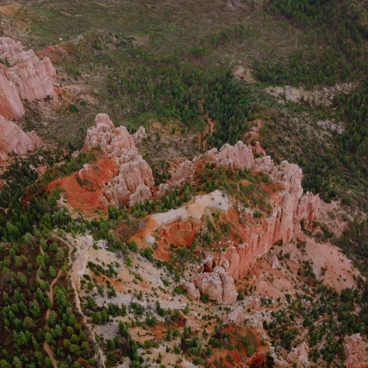 Splendid rocks in Bryce National park overgrown with green pine tree forest. Aerial view panorama of canyons in Utah, USA