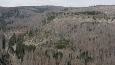 vistas aéreas de drones del parque nacional de harz en alemania central