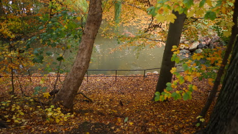 green pond in the autumn forest