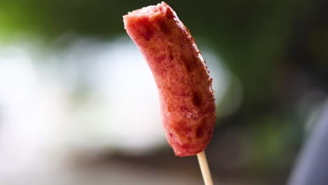 hand holding sausage skewer in outdoor setting