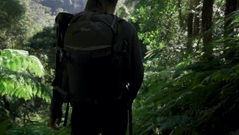 Female-hiking-through-vibrant-green-summer-forest