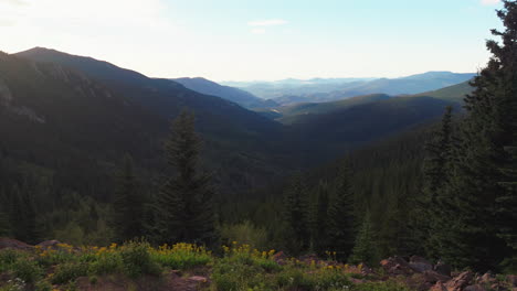 cinematic aerial drone morning sunrise wildflowers denver mount evans 14er chicago lakes front range foothills rocky mountains idaho springs evergreen squaw pass echo mountain lake trees slider left