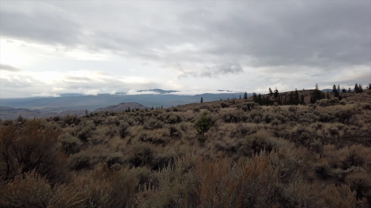 donde la tierra se encuentra con el cielo: los vastos prados de kamloops