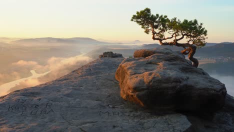 Foggy sunrise at the Lilienstein in the Elbe Sandstone Mountains, Saxon Switzerland, Germany