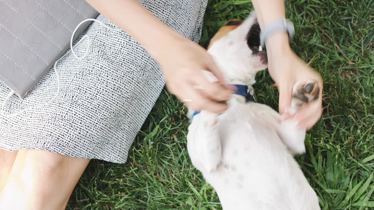여자 는 풀 에 개 와 함께 놀고 있다