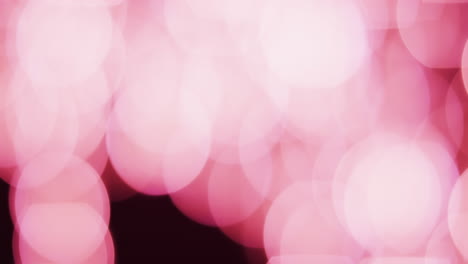 video de puntos de luz bokeh rosados parpadeantes con espacio de copia