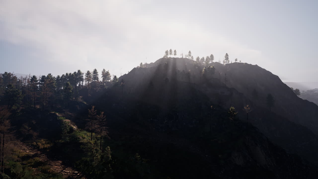 안개 가 가득 한 숲 이 있는 빛 이 비치는 산꼭대기