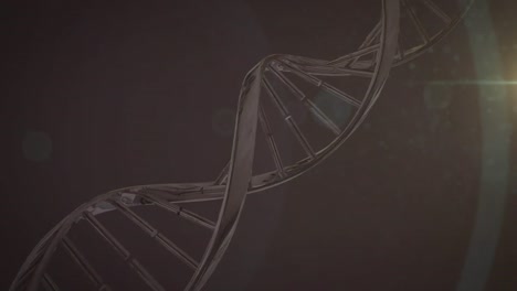 Animation-Eines-3D-Doppelhelix-DNA-Strangs,-Der-In-Einer-Nahtlosen-Schleife-Auf-Dunklem-Hintergrund-Rotiert