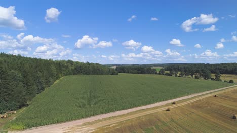 flying over hay bales in a field