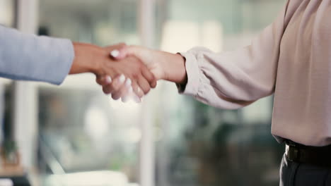 mujeres de negocios apretón de manos
