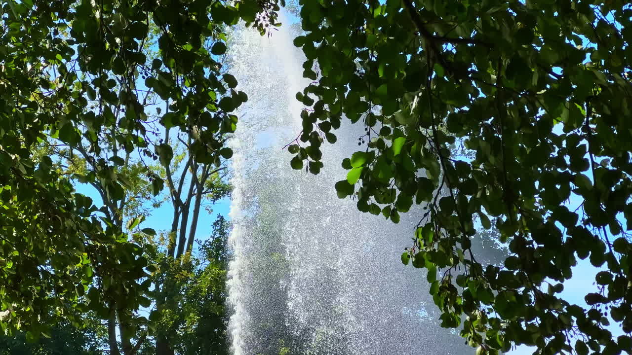 O majestoso jato da fonte dança sob o céu vibrante, emoldurado por uma vegetação exuberante num cenário de parque sereno.