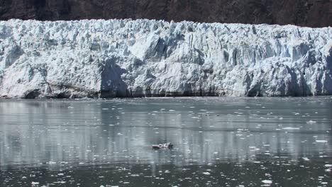 margerie glacier and the icy waters of the bay