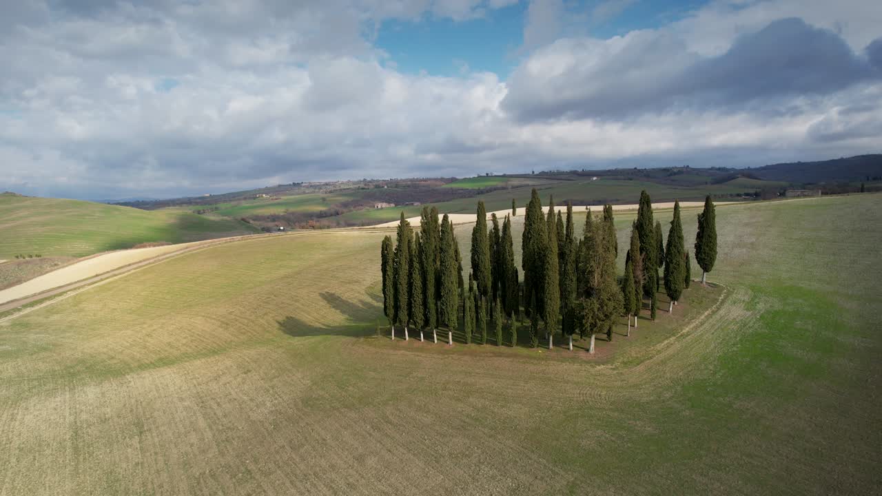 토스카니의 푸른 언덕에서 봄 기간 동안 사이프러스의 그룹. 이탈리아의 val d'orcia에 있는 사이프러스들의 원형 공중 사진.